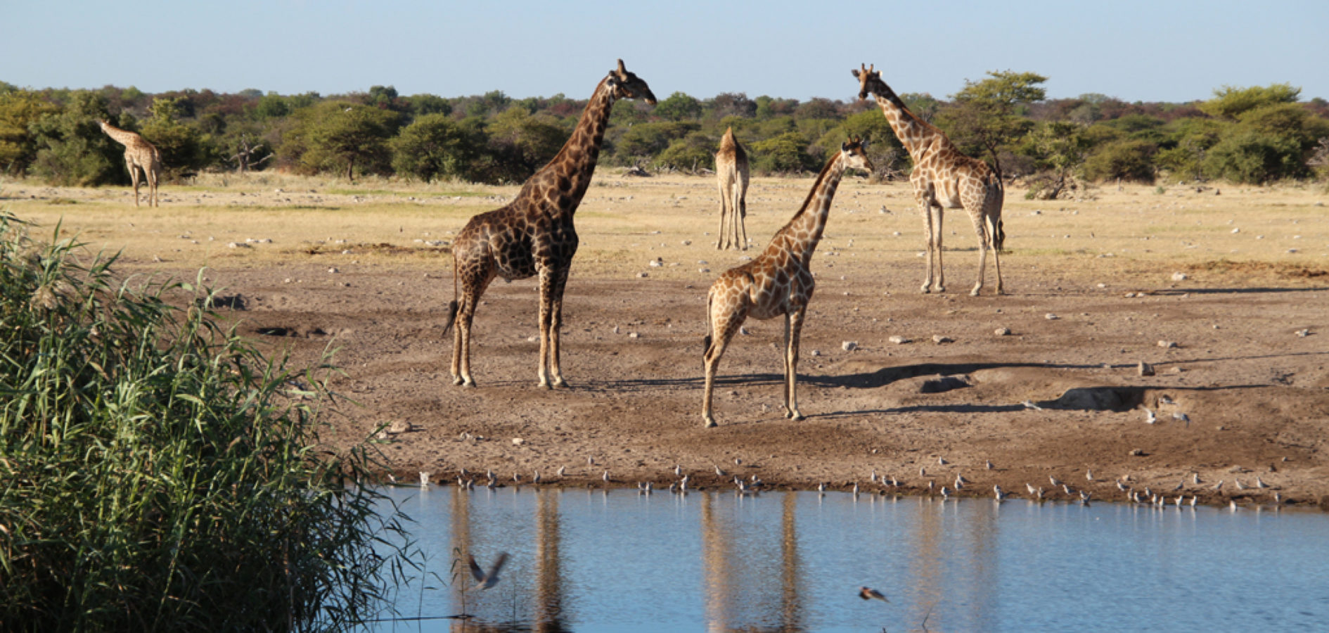 Top Incentive Namibia