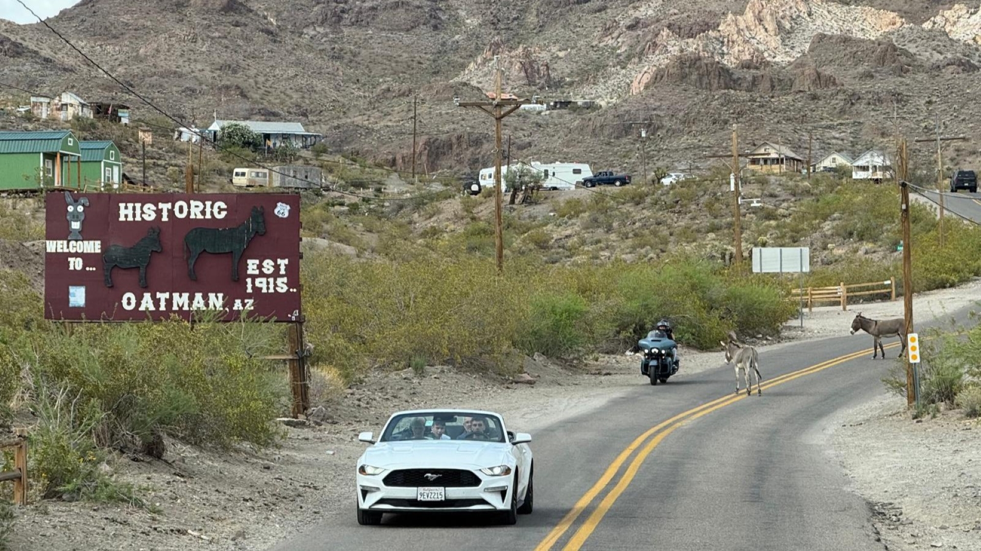 Mustang_Road