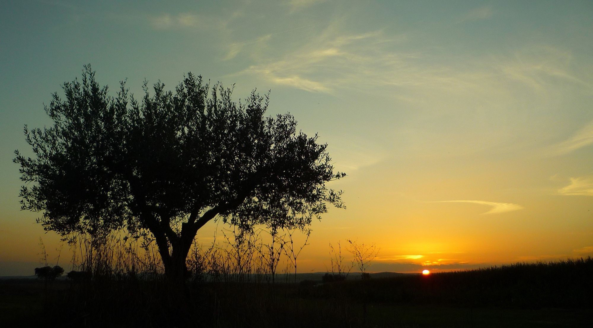 Sonnenuntergang Sonnenuntergang